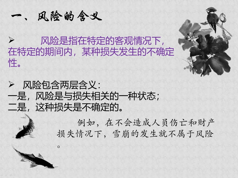 风险与风险管理风险含义特征分类_第2页