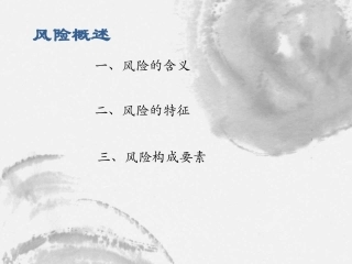风险与风险管理风险含义特征分类