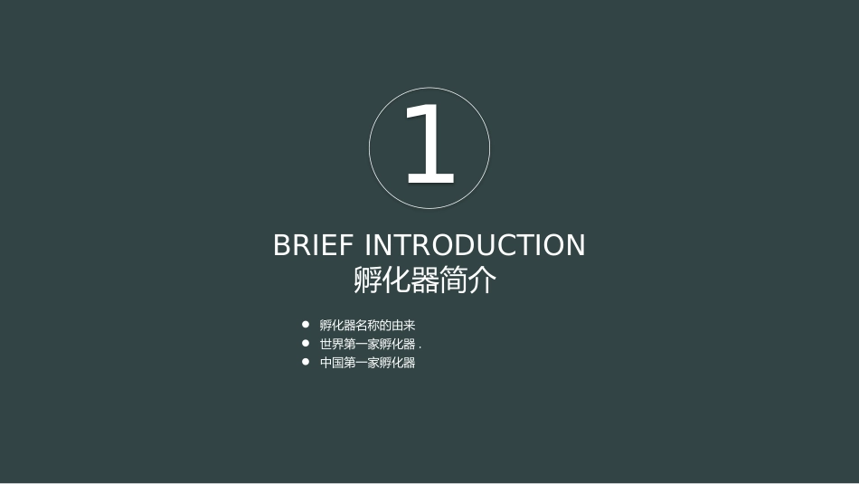 孵化器培训文件_第3页