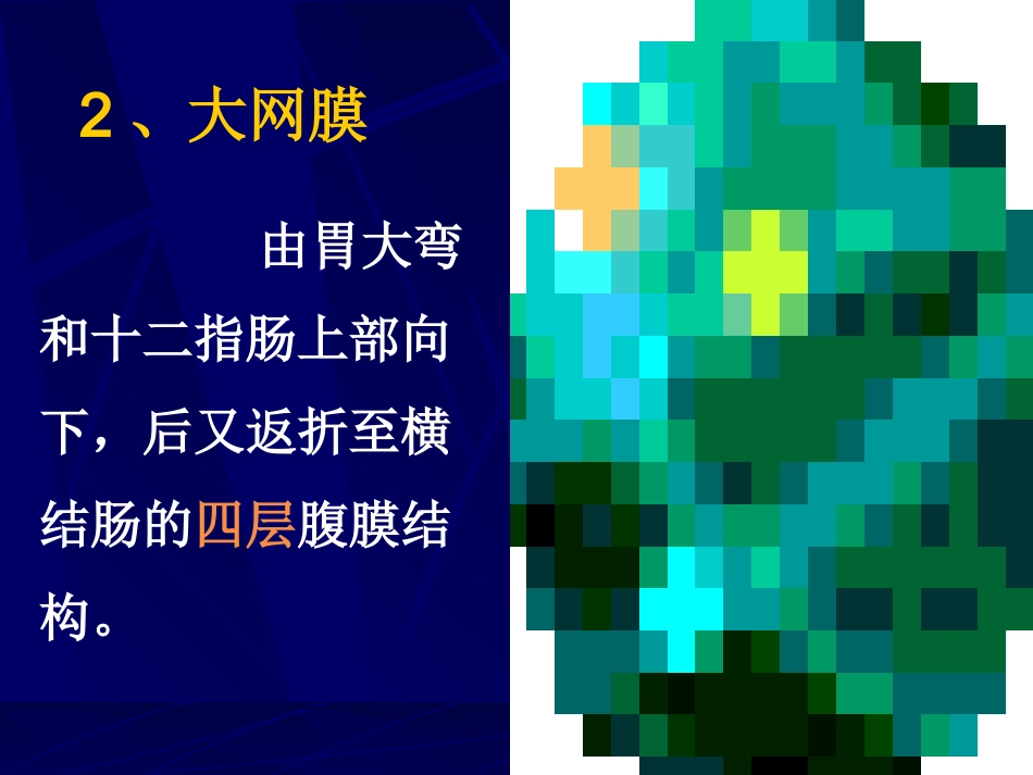 腹部断层解剖学_第3页