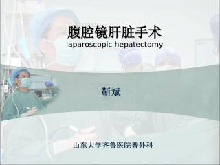 腹腔镜肝切除