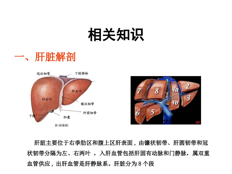 肝切除手术的配合_第3页