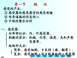 感光细胞视锥细胞视杆细胞中