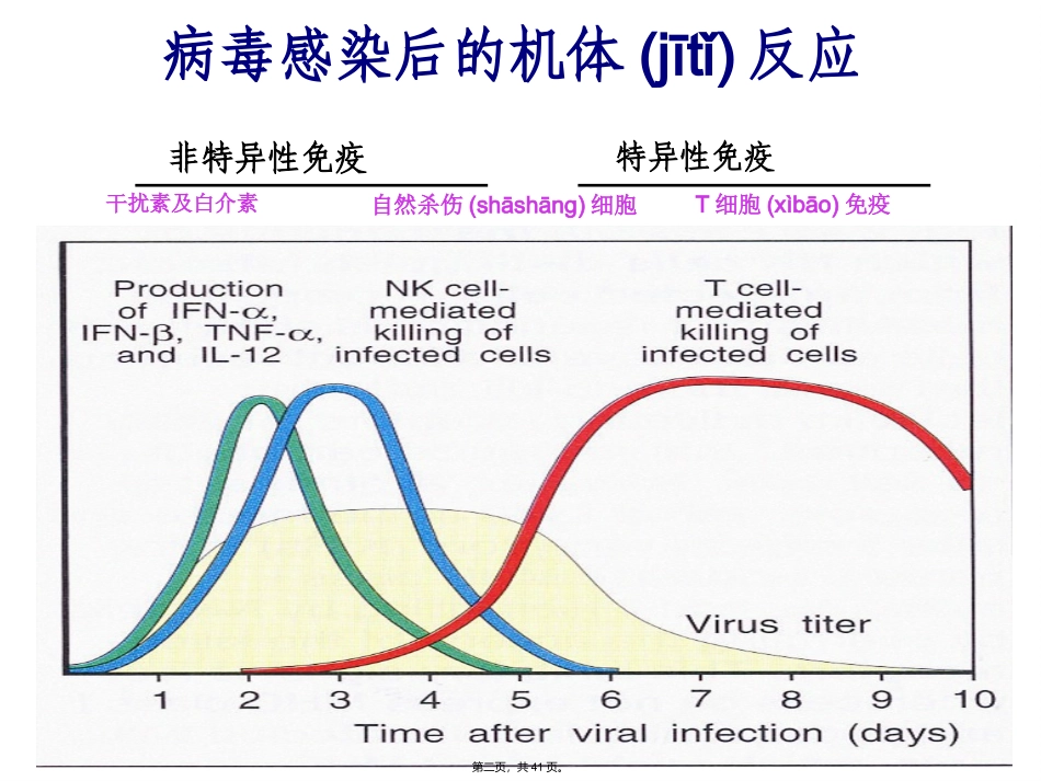 干扰素的作用_第2页