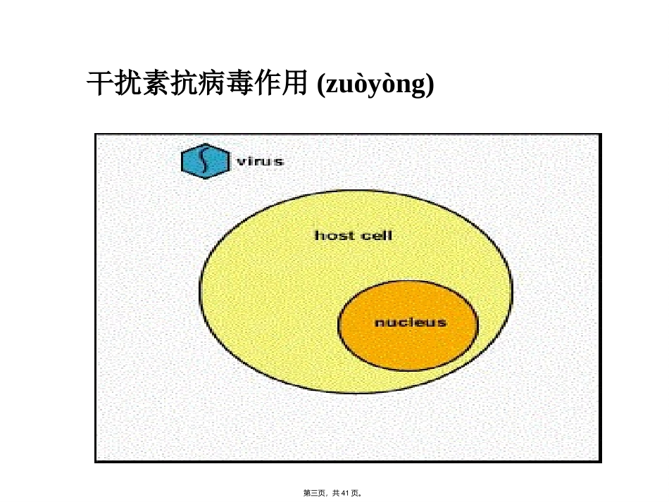 干扰素的作用_第3页