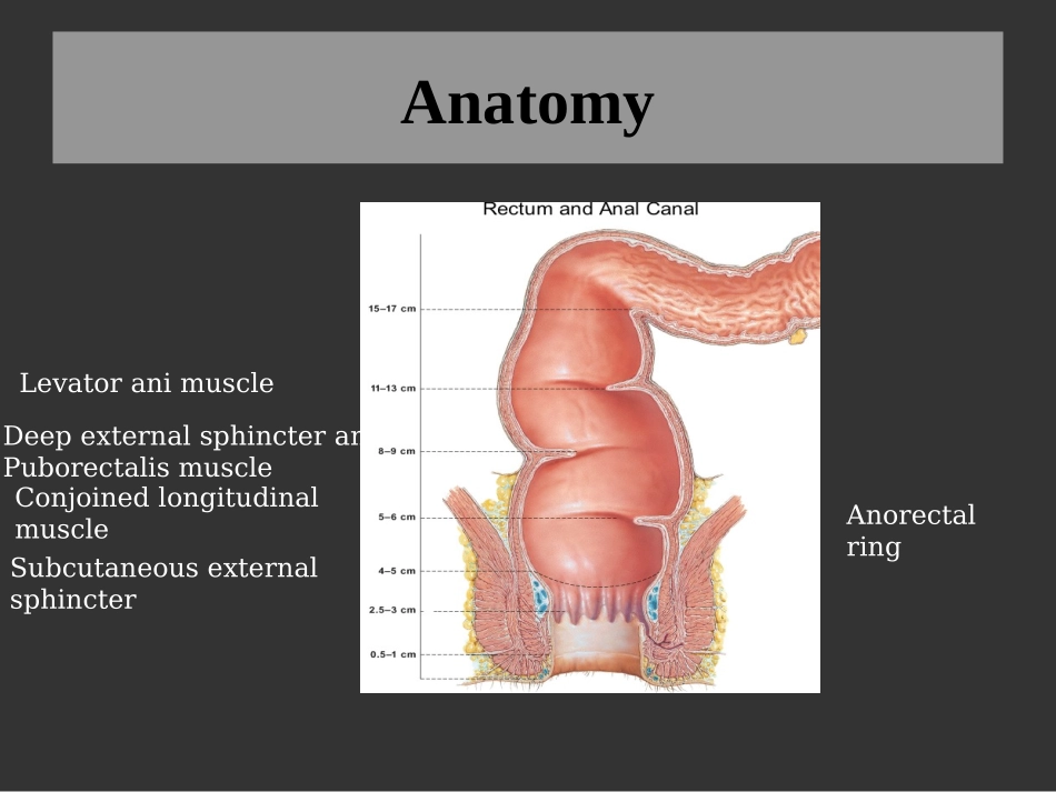 肛管疾病总论英文_第2页
