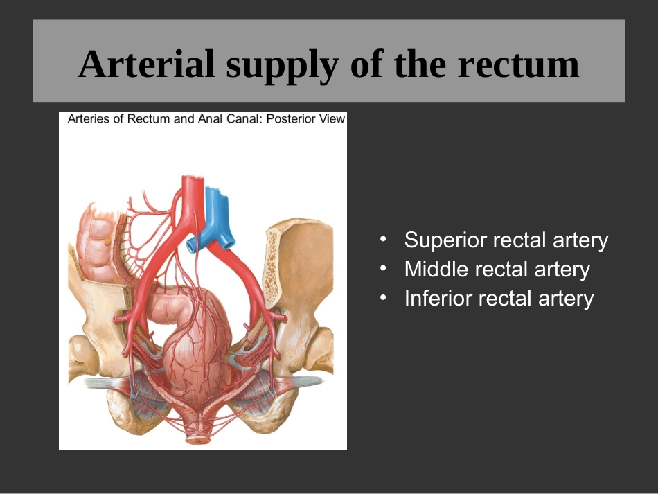 肛管疾病总论英文_第3页
