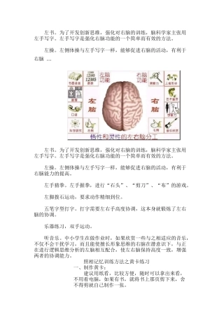 右脑开发训练大全