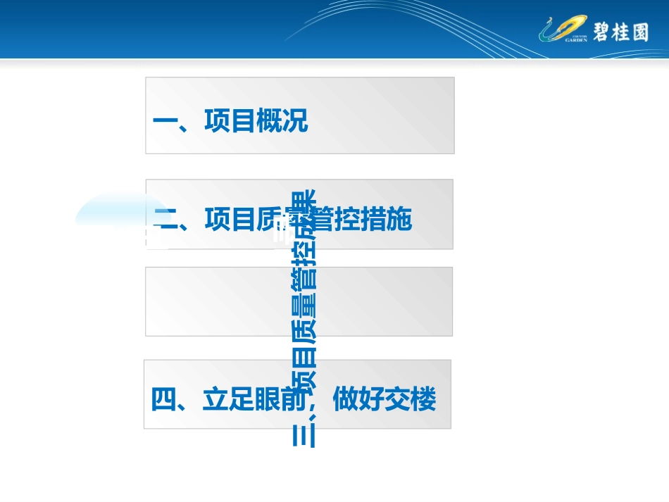 高淳碧桂园工法样板工作汇报_第3页