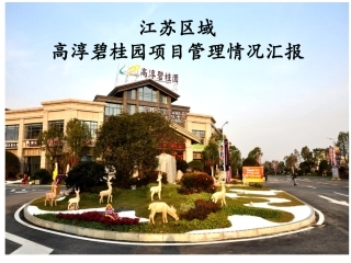 高淳碧桂园工法样板工作汇报