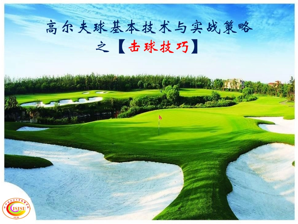 高尔夫基本技术之击球技术_第1页