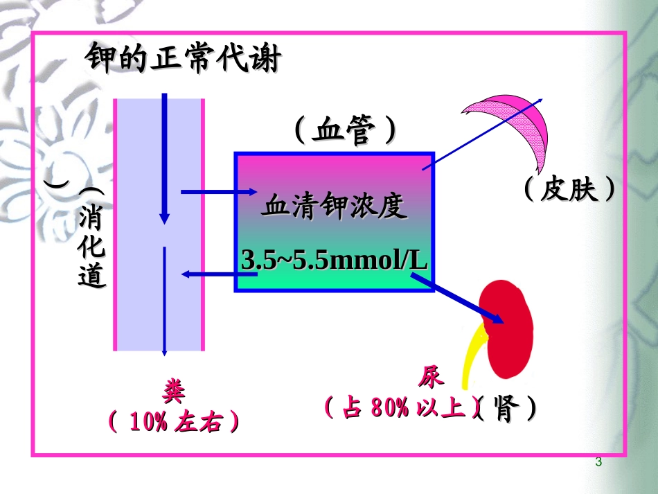 高钾和低钾的护理_第3页