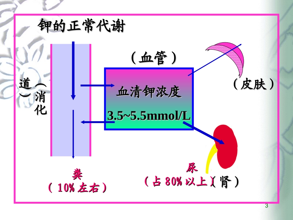 高钾与低钾的护理_第3页