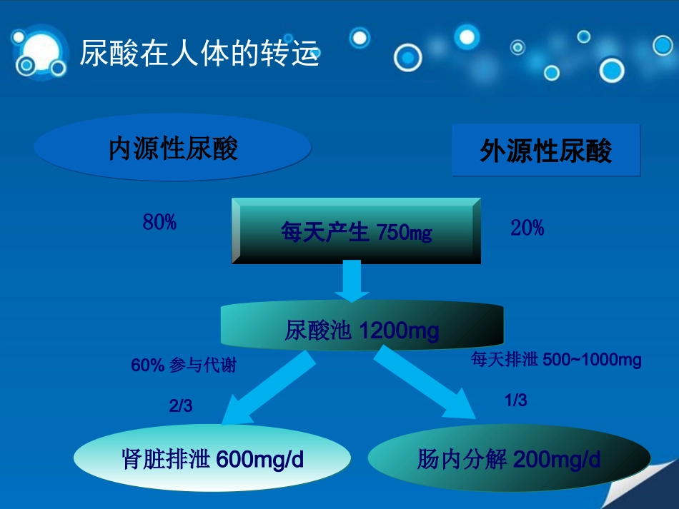 高尿酸血症和痛风_第3页