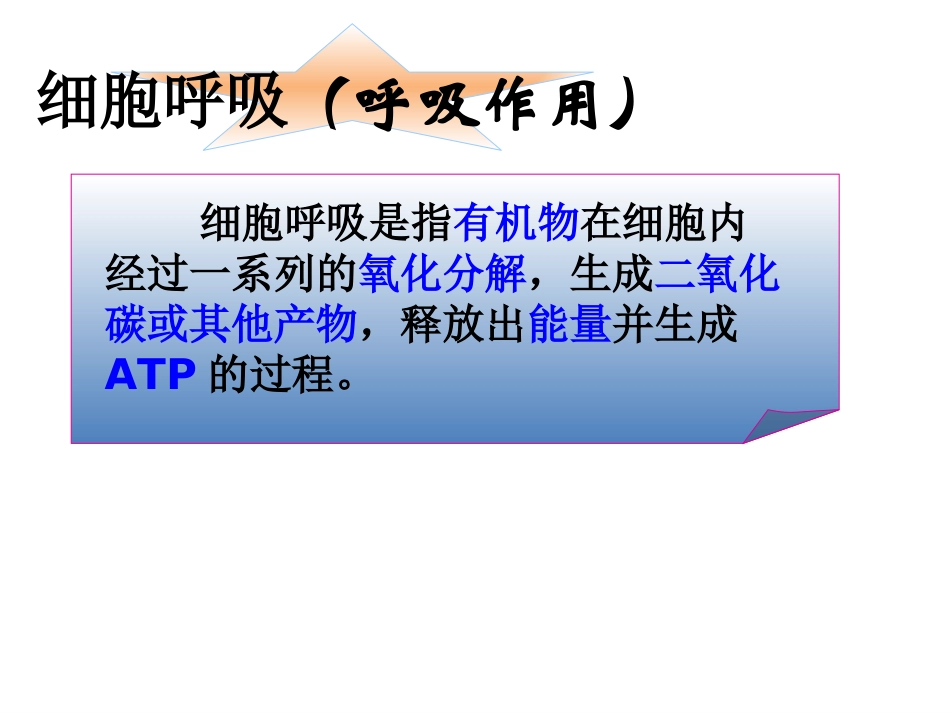 高中生物细胞呼吸完整_第3页