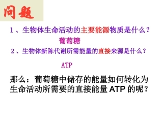 高中生物细胞呼吸完整