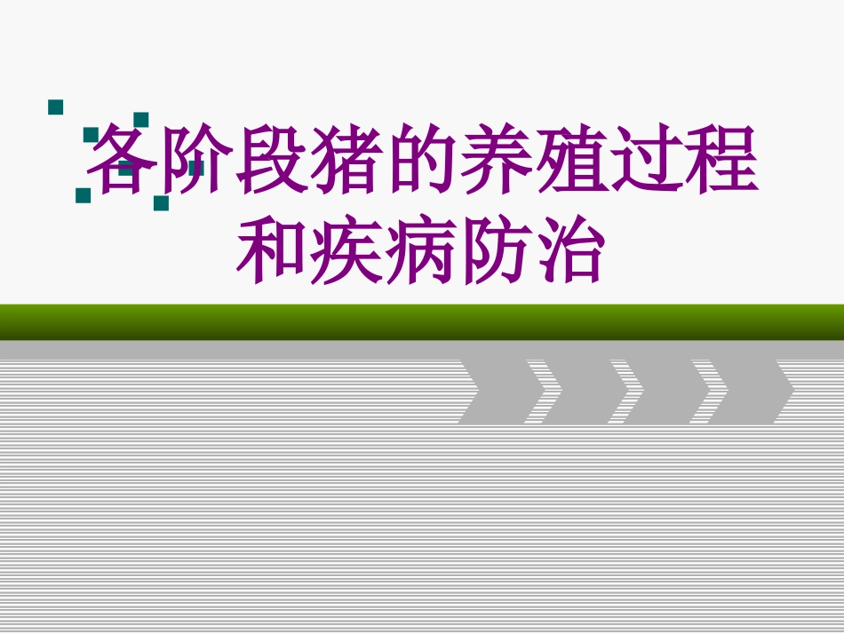 各阶段猪的养殖过程和疾病防治培训课件_第1页