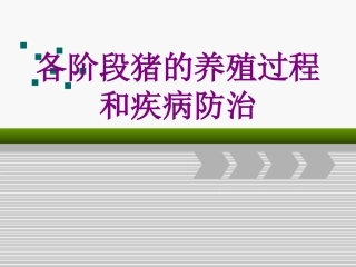 各阶段猪的养殖过程和疾病防治培训课件