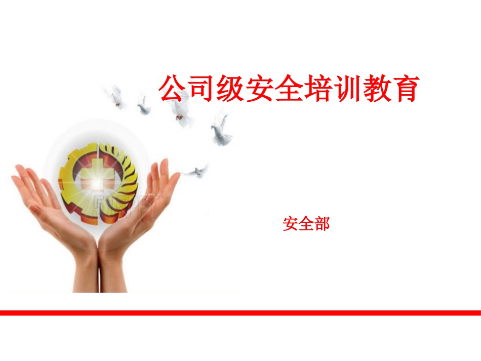公司级安全教育培训_第1页