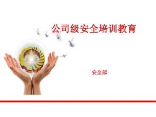 公司级安全教育培训