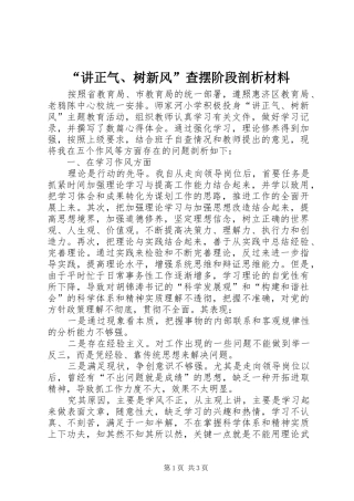 讲正气树新风查摆阶段剖析材料