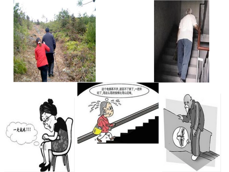 骨关节炎健康教育_第2页