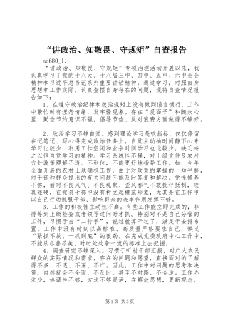 讲政治知敬畏守规矩自查报告