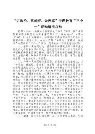 讲政治重规矩做表率专题教育三个一活动情况总结