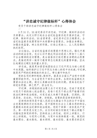 讲忠诚守纪律做标杆心得体会