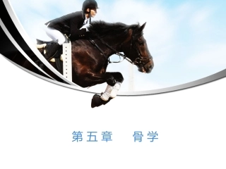 骨学概述及躯干骨颅骨