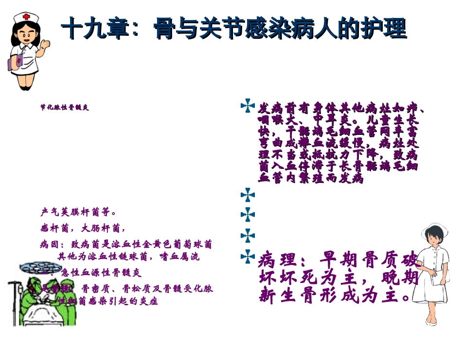 骨与关节感染病人的护理_第1页