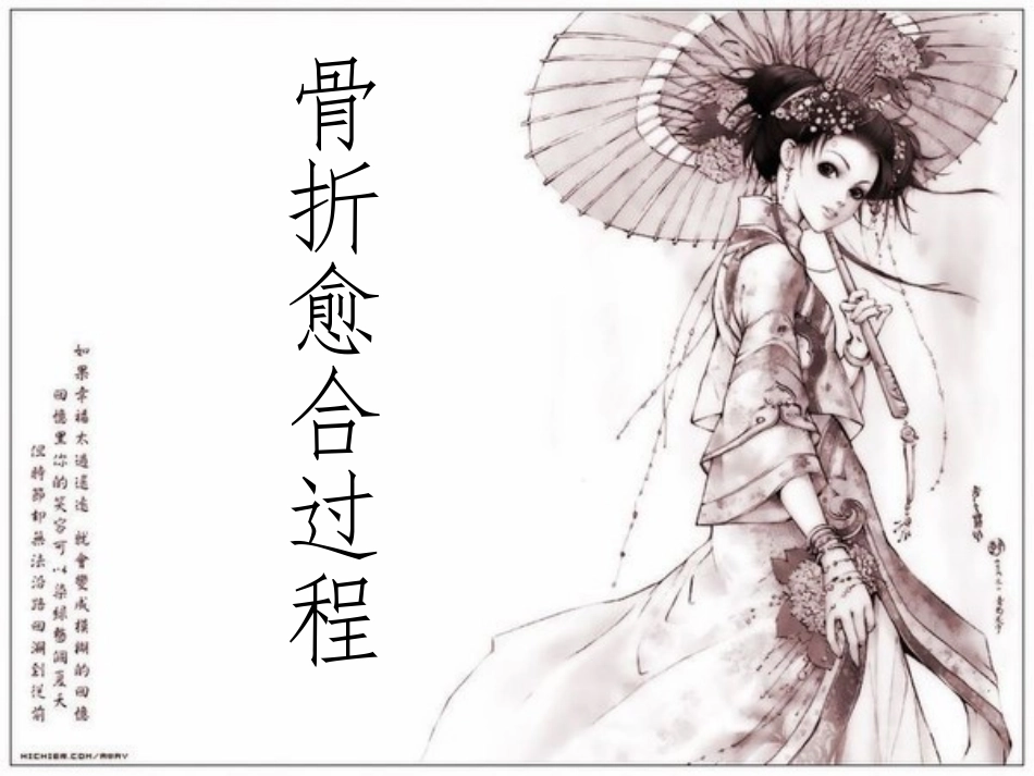 骨折愈合过程_第1页