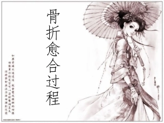 骨折愈合过程