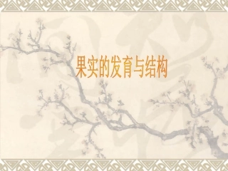 果实的发育与结构