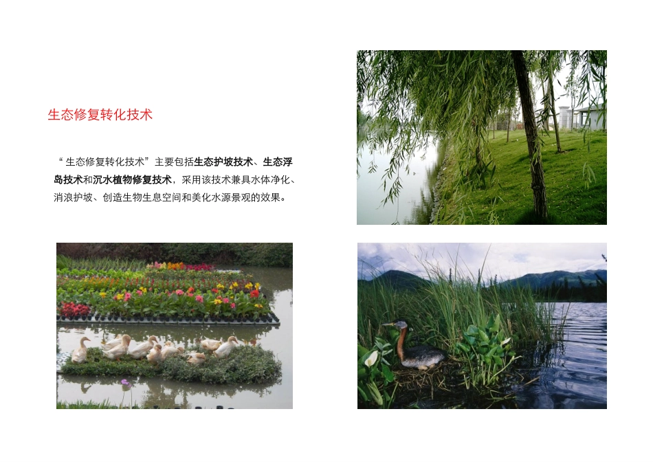 河道水体保护与修复_第3页