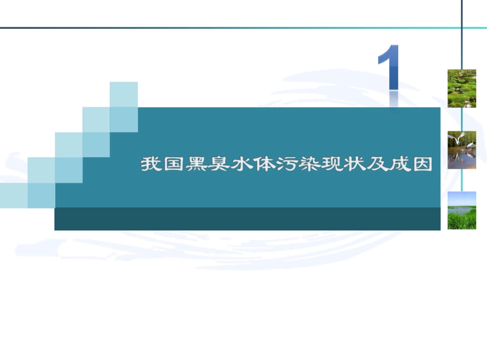 黑臭水体治理技术_第2页
