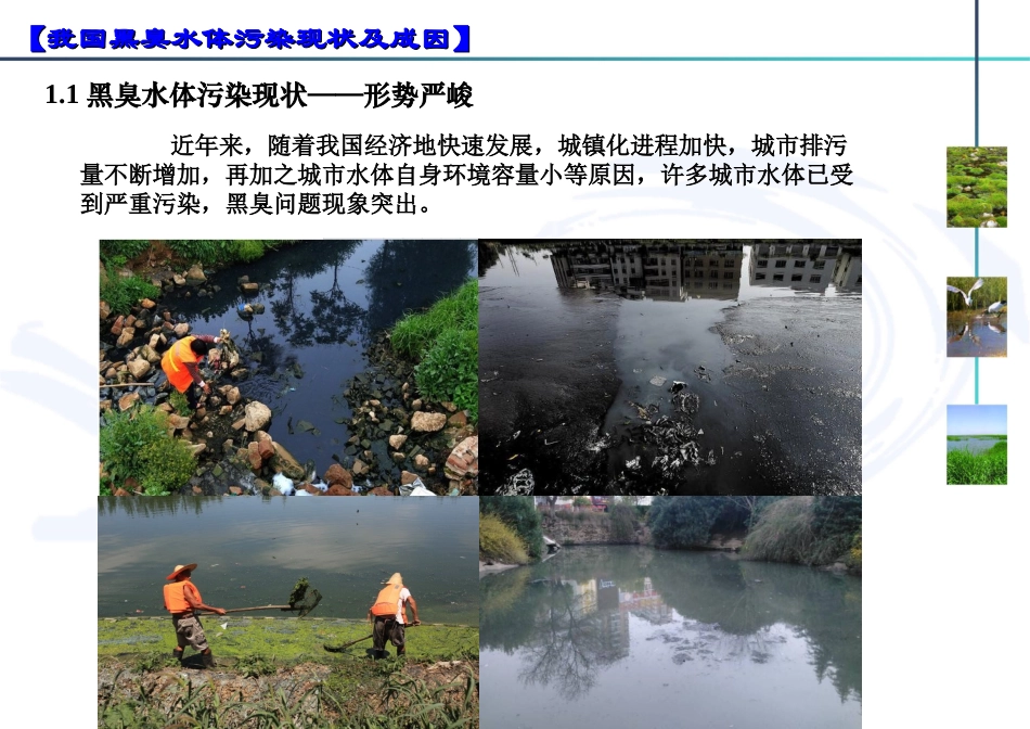 黑臭水体治理技术_第3页