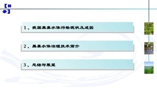黑臭水体治理技术
