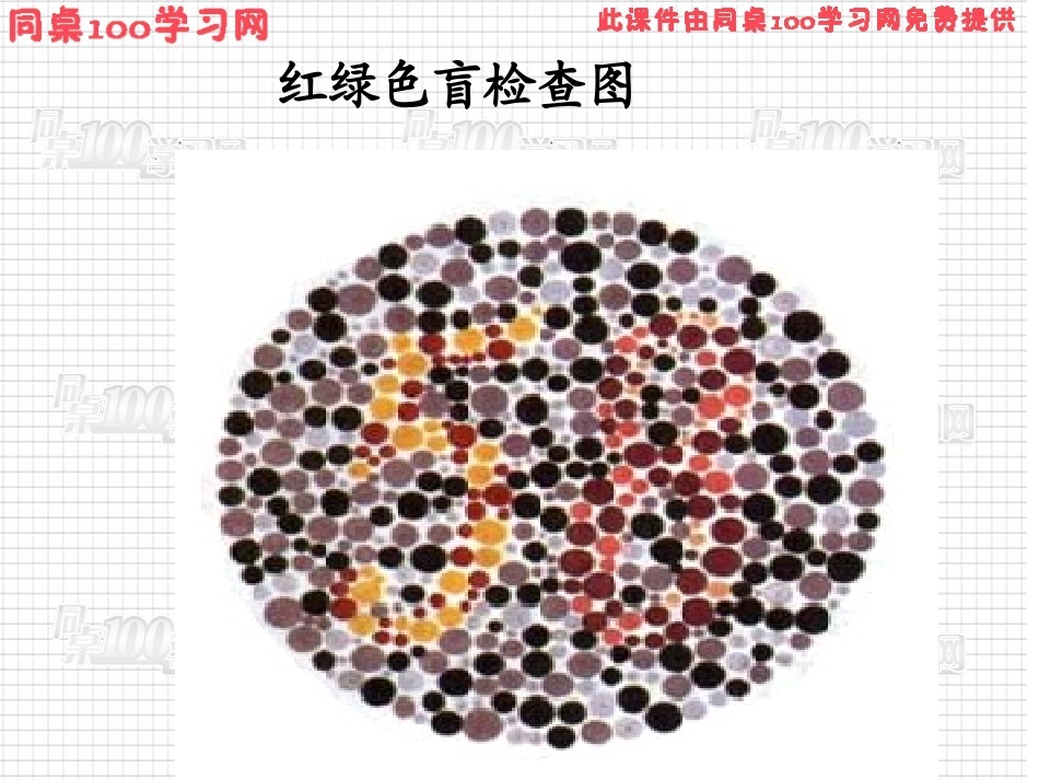 红绿色盲检查图_第2页