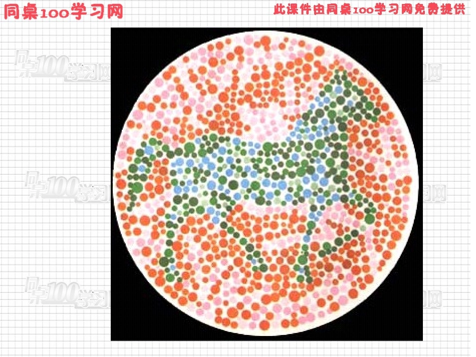 红绿色盲检查图_第3页