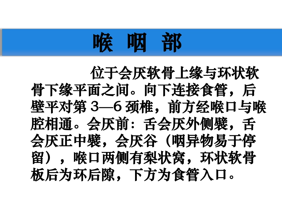 喉部解剖学及生理学_第3页