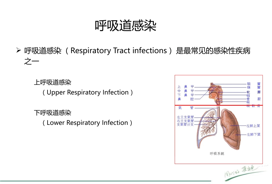 呼吸道病原体检测在临床中的应用_第3页