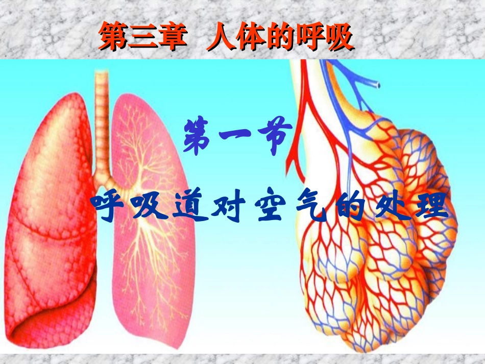呼吸道对空气的处置_第1页