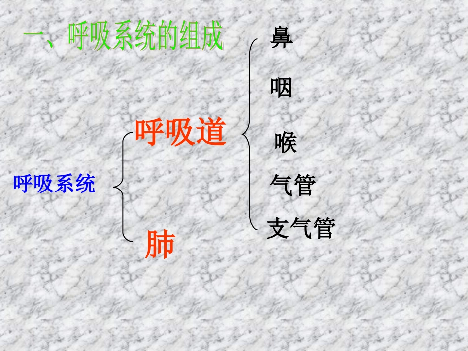呼吸道对空气的处置_第3页
