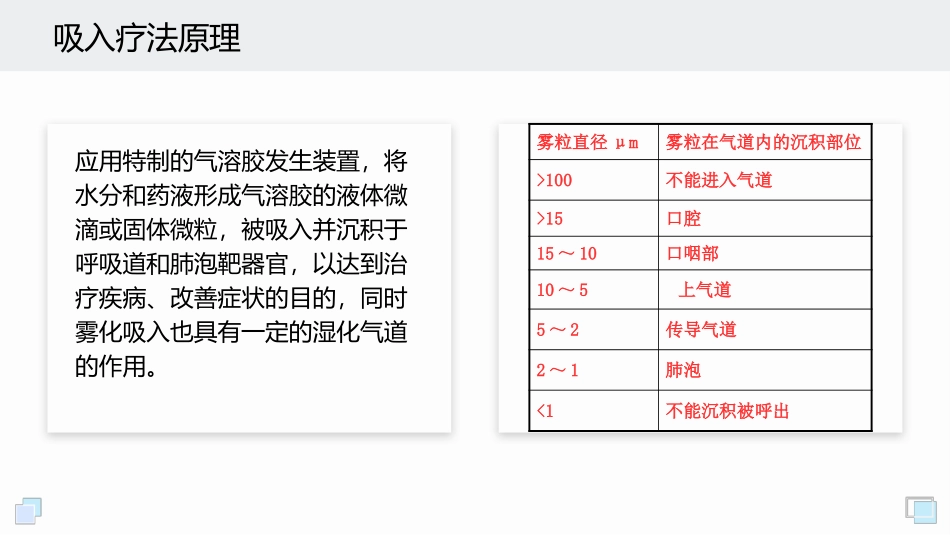 呼吸系统常用吸入装置_第3页