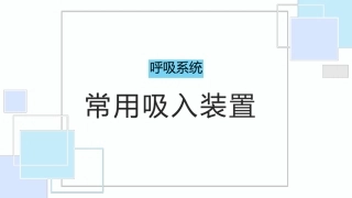 呼吸系统常用吸入装置