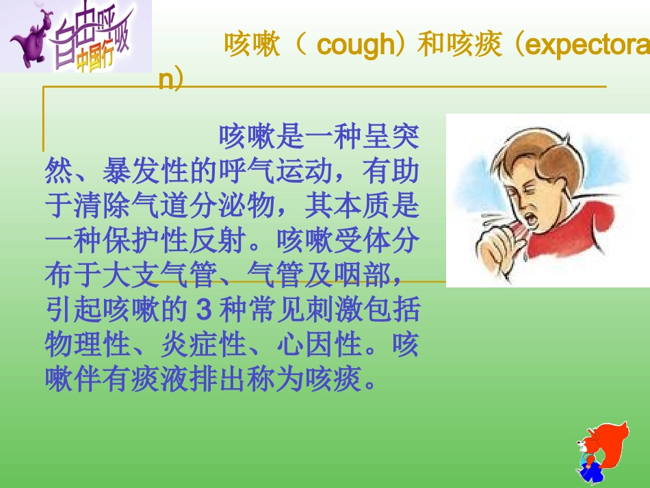 呼吸系统疾病常见体征课件_第2页