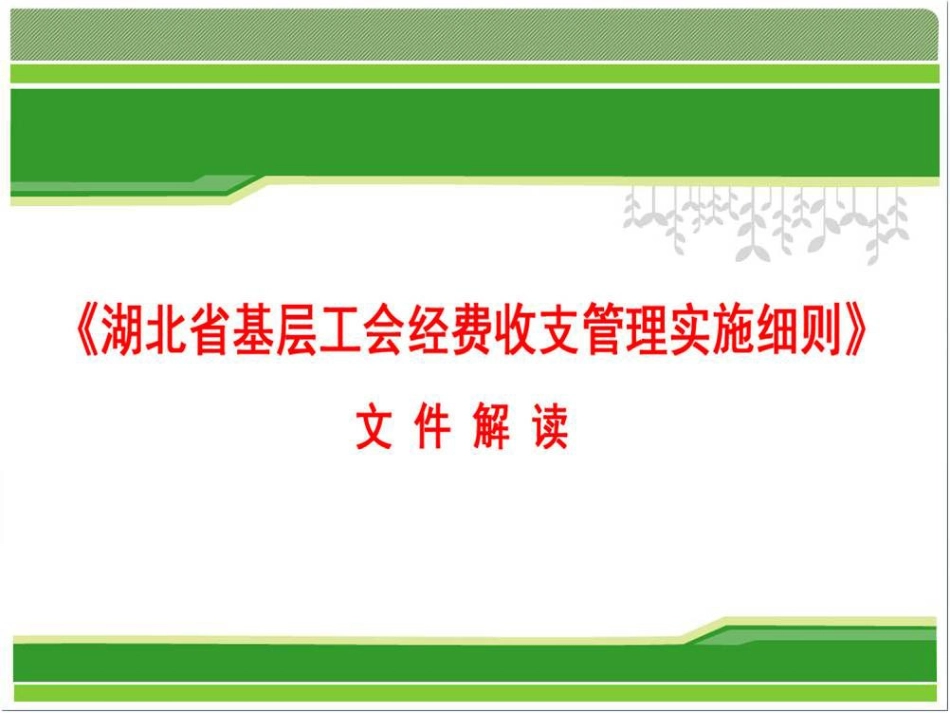 湖北省基层工会经费收支管理实施细则文件解读_第1页