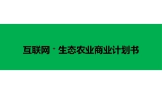 互联网+生态农业创业计划书