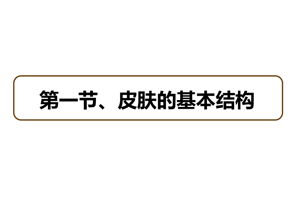 护肤保养基础知识护肤必备_第3页